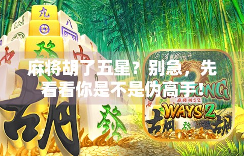 麻将胡了五星？别急，先看看你是不是伪高手！