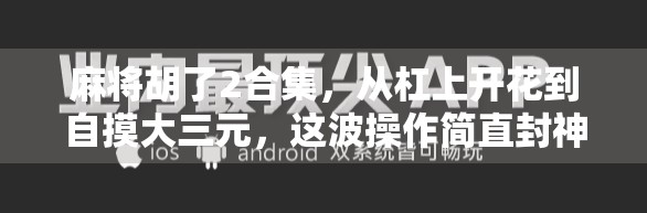 麻将胡了2合集,从杠上开花到自摸大三元,这波操作简直封神!