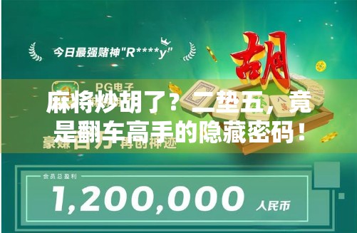麻将炒胡了?二垫五,竟是翻车高手的隐藏密码!