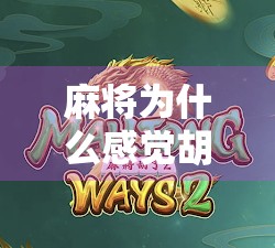 麻将为什么感觉胡了?从心理暗示到认知偏差的深度解析